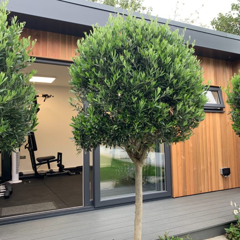 Bespoke Garden Room Woking